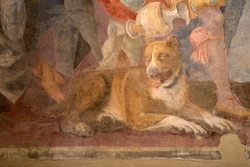 1 Cuccia Per Cani Hecate Verona