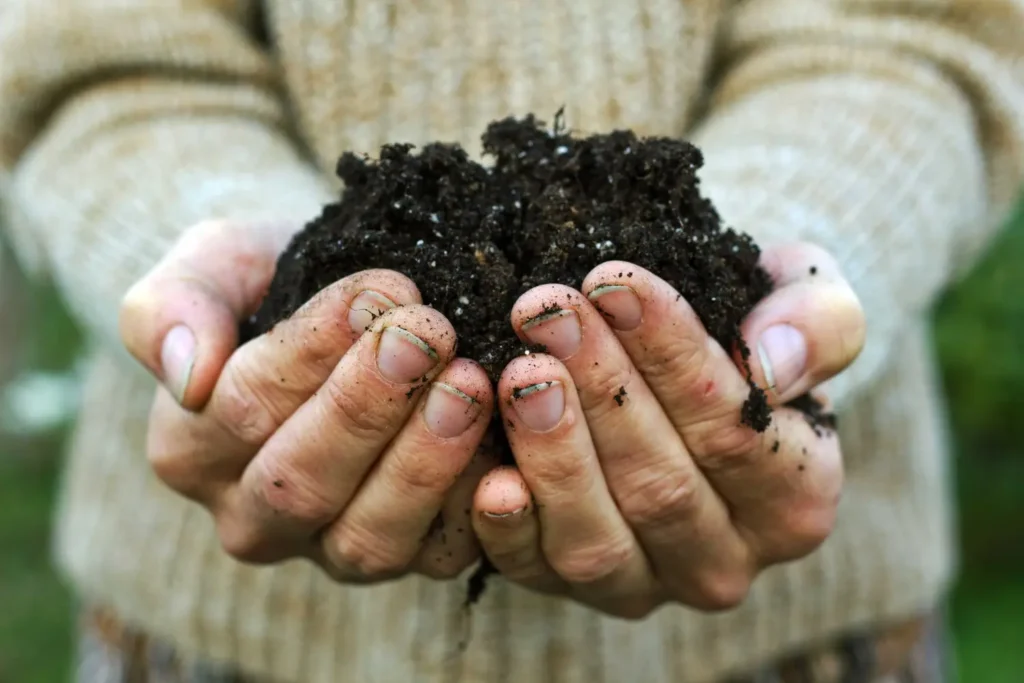 Come fare compost in casa: la guida semplice Come fare compost in casa: la guida semplice