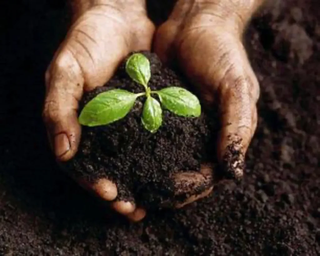 Come fare compost in casa: la guida semplice Come fare compost in casa: la guida semplice