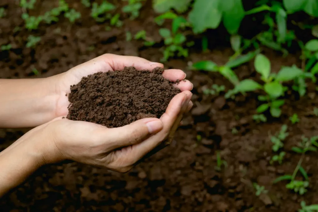 Come fare compost in casa: la guida semplice Come fare compost in casa: la guida semplice