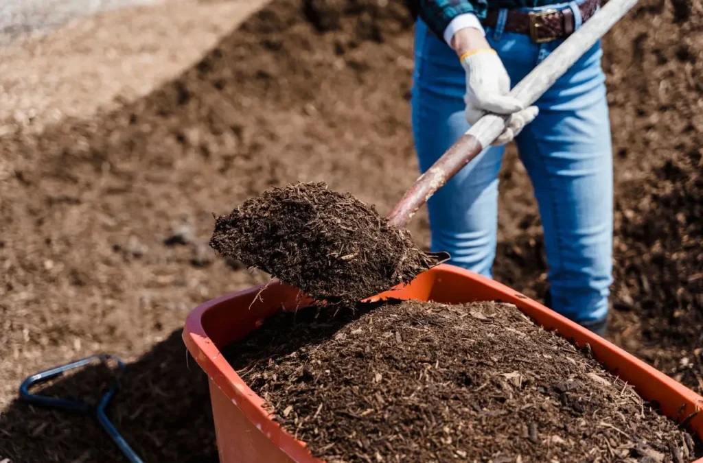 Come fare compost in casa: la guida semplice Come fare compost in casa: la guida semplice