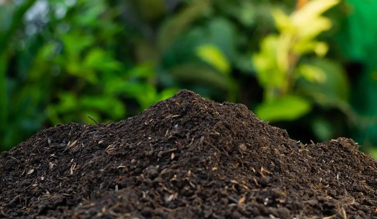 Come fare compost in casa: la guida semplice Come fare compost in casa: la guida semplice