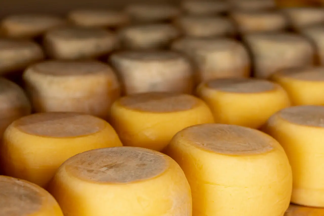Tredici modi creativi per riutilizzare i vasetti vuoti del parmigiano Immagine selezionata