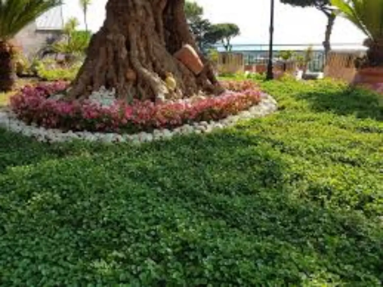 Il parco cambia nome: si dice addio al passato, spazio a una nuova identità per la città Immagine selezionata