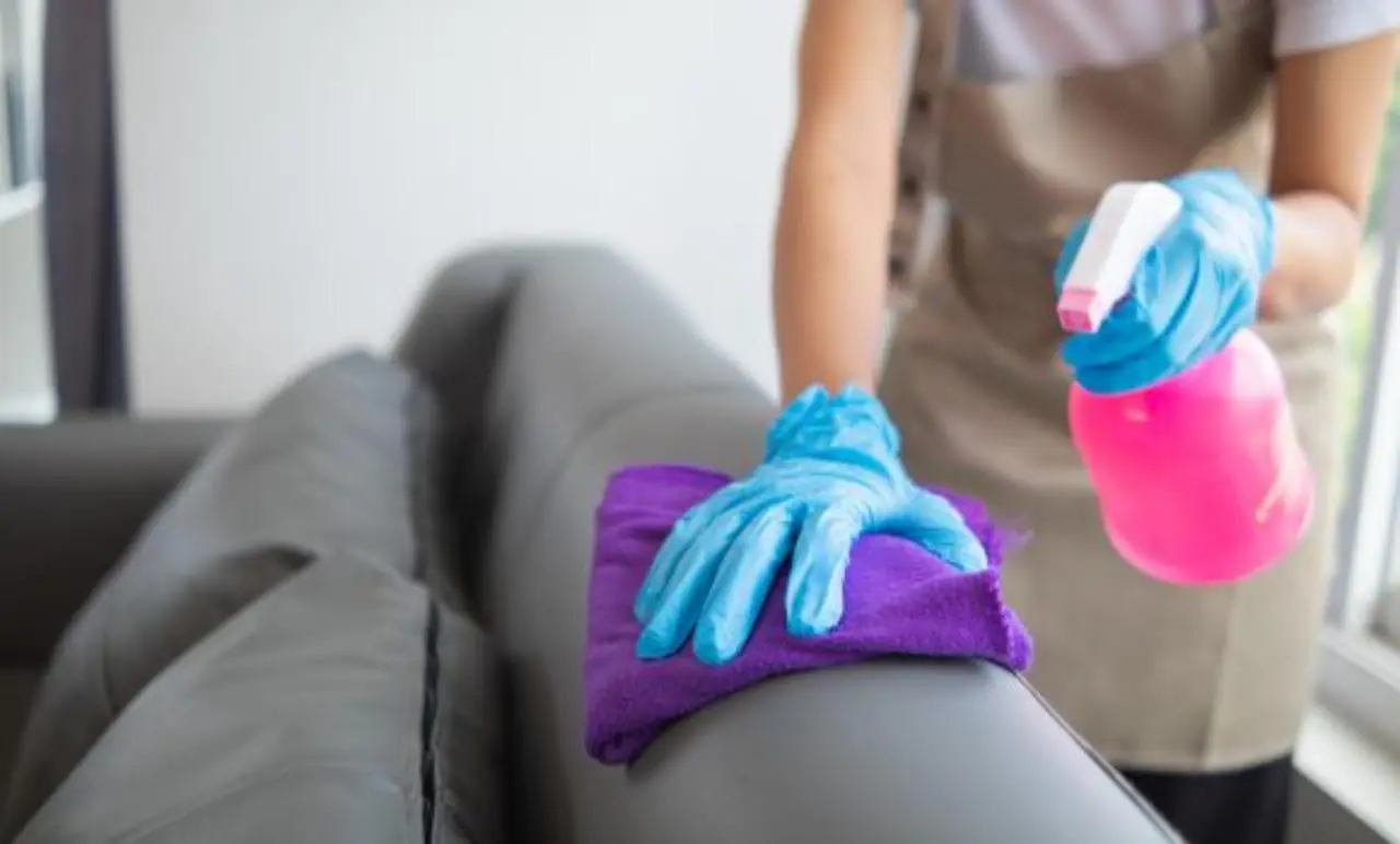 I trucchi per rimuovere la polvere dagli imbottiti senza usare l’aspirapolvere Immagine selezionata