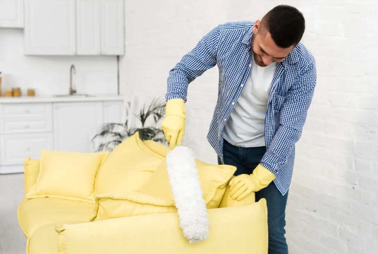 I trucchi per rimuovere la polvere dagli imbottiti senza usare l’aspirapolvere Immagine selezionata