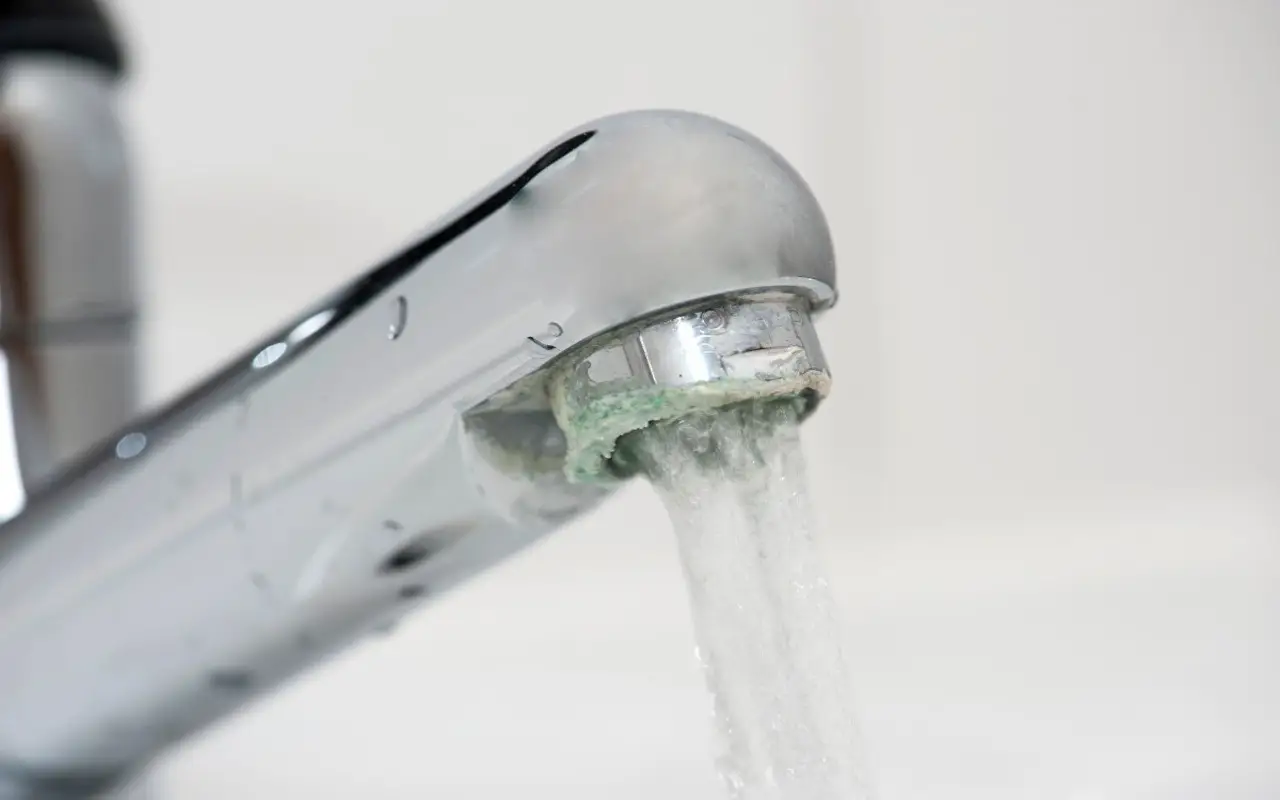Non usare l’acqua del rubinetto su piante sensibili: ecco il motivo Immagine selezionata