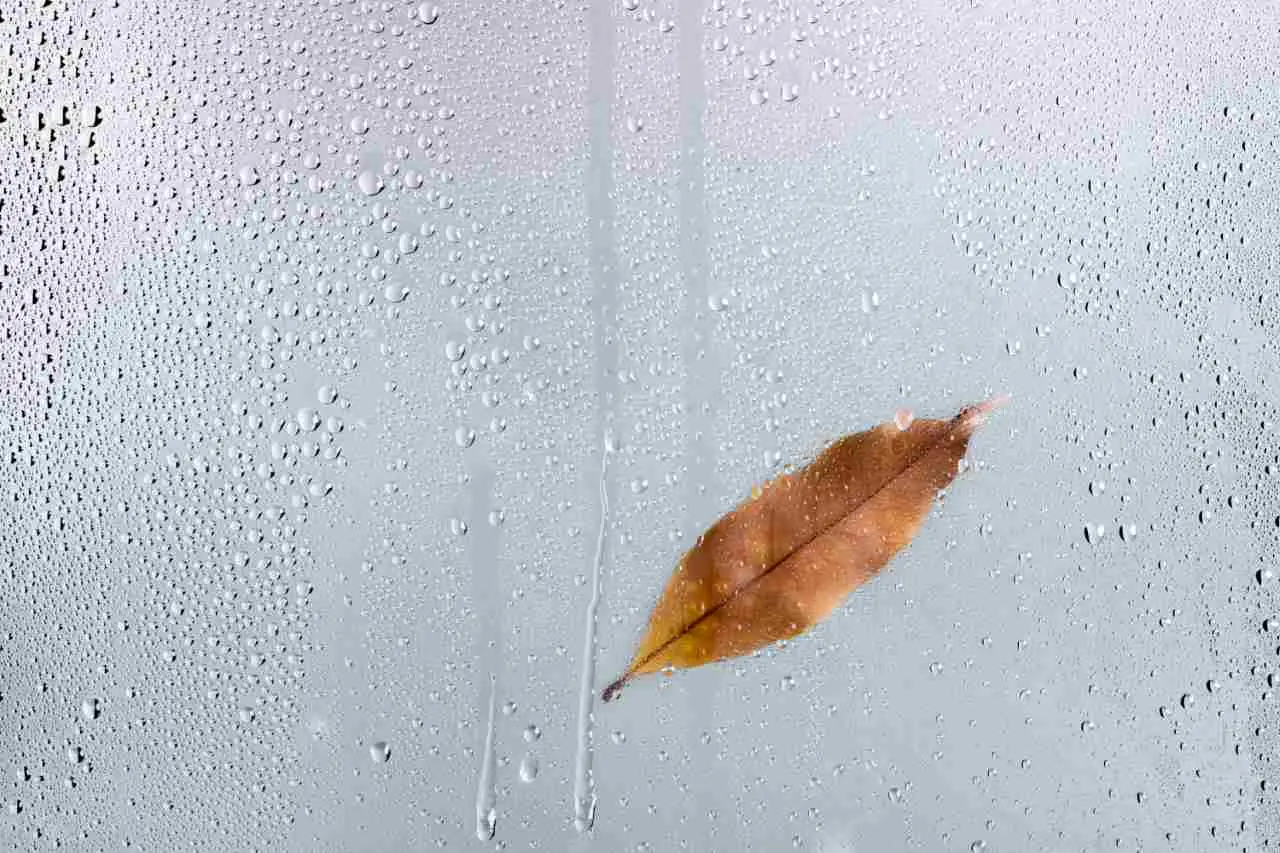 Questo oggetto in bagno, può aumentare il rischio di muffa ogni giorno Questo oggetto in bagno, può aumentare il rischio di muffa ogni giorno