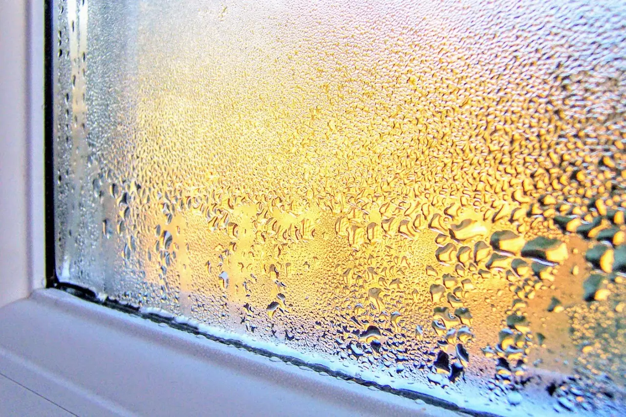 La condensa sulle finestre può indicare un problema da non sottovalutare La condensa sulle finestre può indicare un problema da non sottovalutare