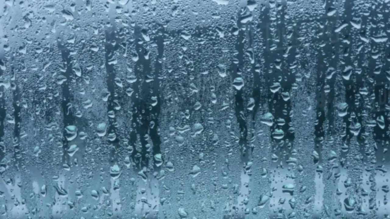 La condensa sulle finestre può indicare un problema da non sottovalutare La condensa sulle finestre può indicare un problema da non sottovalutare