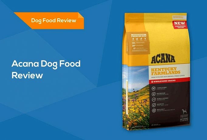 Acana Dog Food Review 2022 Guida