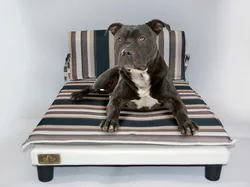 Dogbed4less Letto per cani in memory foam extra large in gel ortopedico