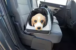 La sicurezza in una cintura di sicurezza per cani certificata per crash test